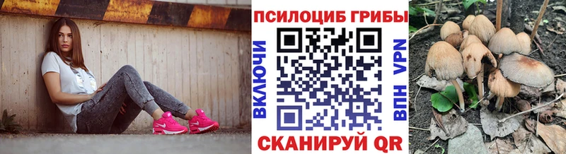 Галлюциногенные грибы Magic Shrooms  Циолковский 
